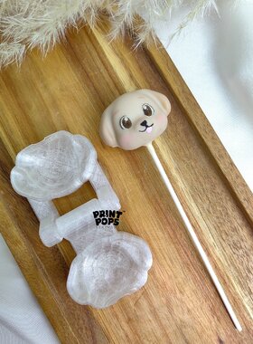 Print Pops™ - Kuca modla za cake popse