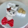 Print Pops™ - Aksolotl modla za cake popse